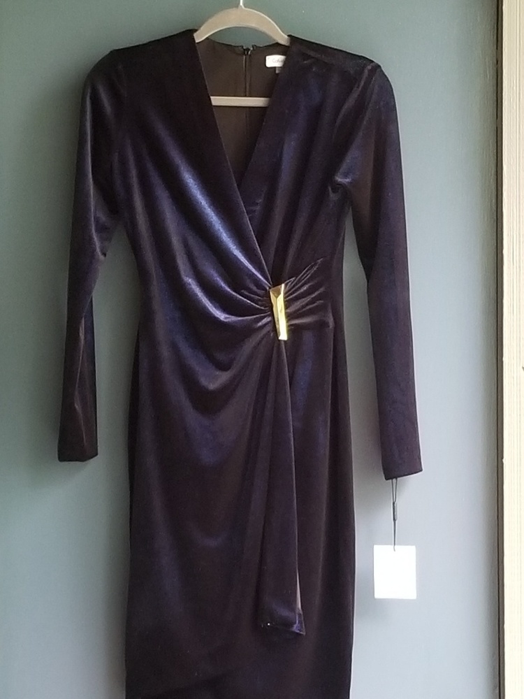 Calvin Klein blue velvet dress